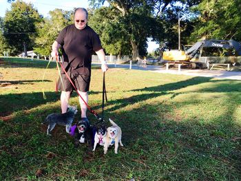 Portrait of boy playing with dog