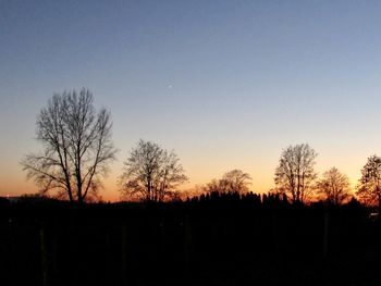 Silhouette trees against sky during sunset