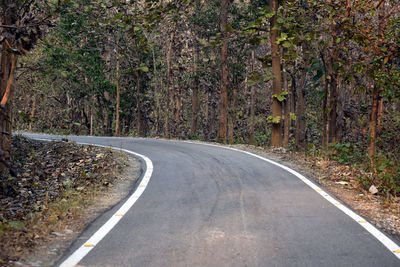 Country road amidst trees in forest