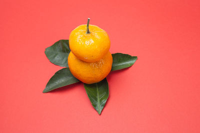 Close-up of orange fruit against red background