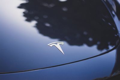 Low angle view of bird flying against sky