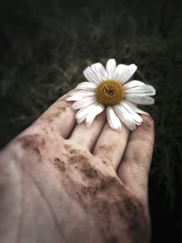 Close-up of hand holding flower