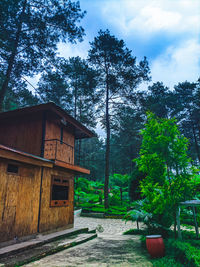House by trees against sky