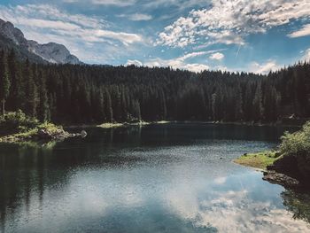 Scenic view of lake in forest against sky