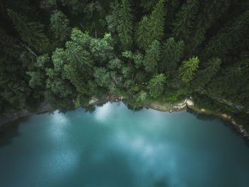 Aerial drone view of blue lakes and green forests. beautiful summer panorama. national park