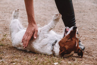 Dog cuddles