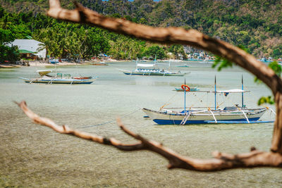 Boats moored on sea