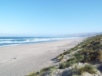 Scenic view of beach against clear blue sky
