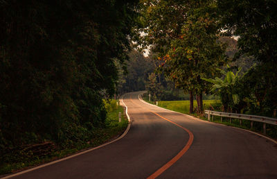 Empty road along trees and plants