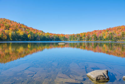 Scenic view of lake by trees against clear blue sky