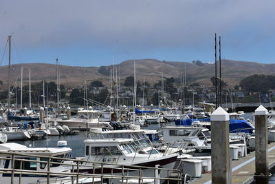 Sailboats moored at harbor against sky