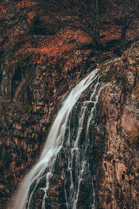 Scenic view of waterfall in forest