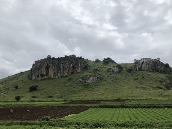 Scenic view of field against sky