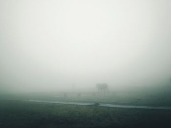 View of fog in foggy weather