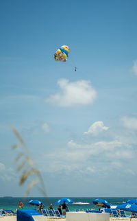 Low angle view of people paragliding against sky