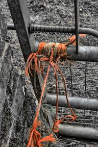 High angle view of orange tied up on metal fence