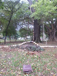 Trees on landscape