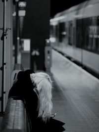 Rear view of woman standing by train at railroad station