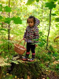 Full length of cute girl holding basket