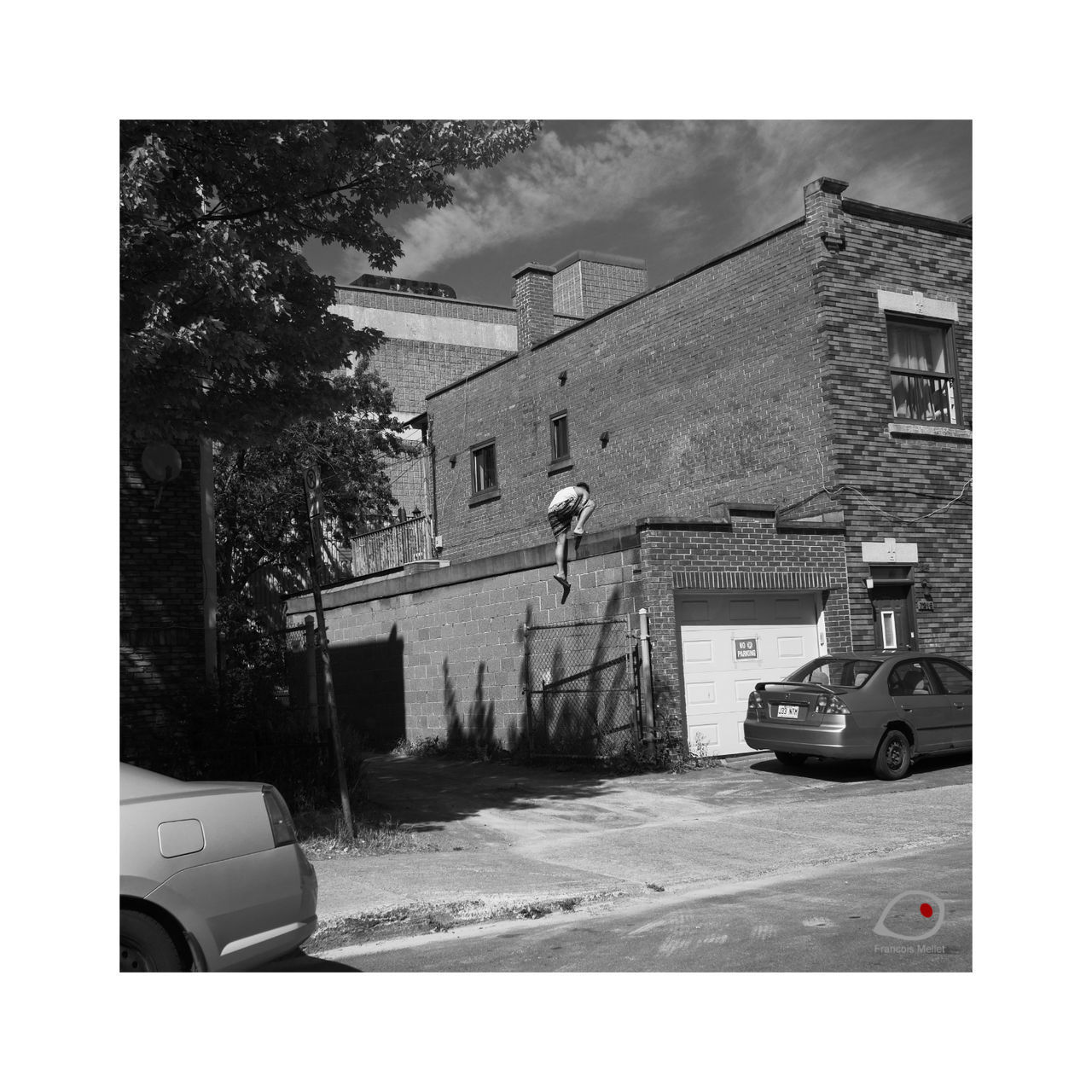 CARS ON ROAD BY BUILDINGS AND TREES IN CITY