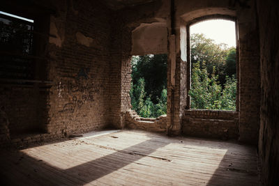 Trees seen through window of abandoned home