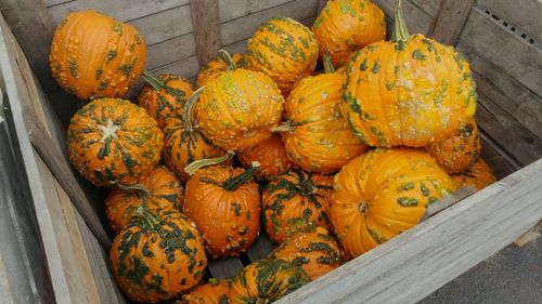 High angle view of pumpkins for sale at market