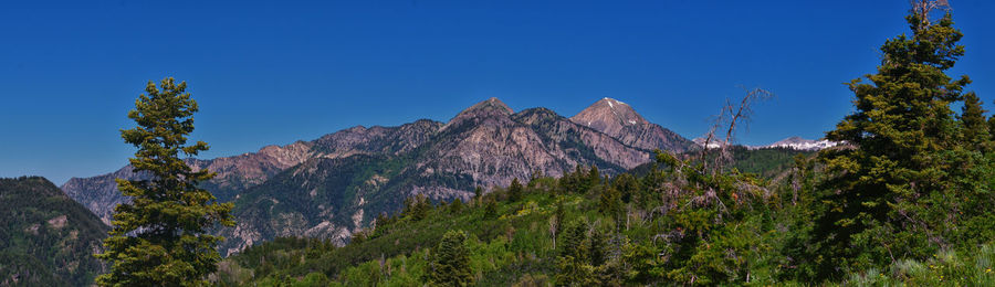 Panoramic view of trees and mountains against clear blue sky