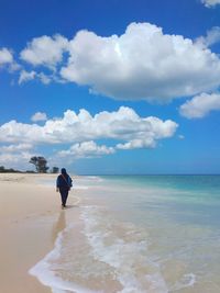 Rear view of man on beach against sky