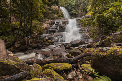 Scenic view of waterfall in forest
