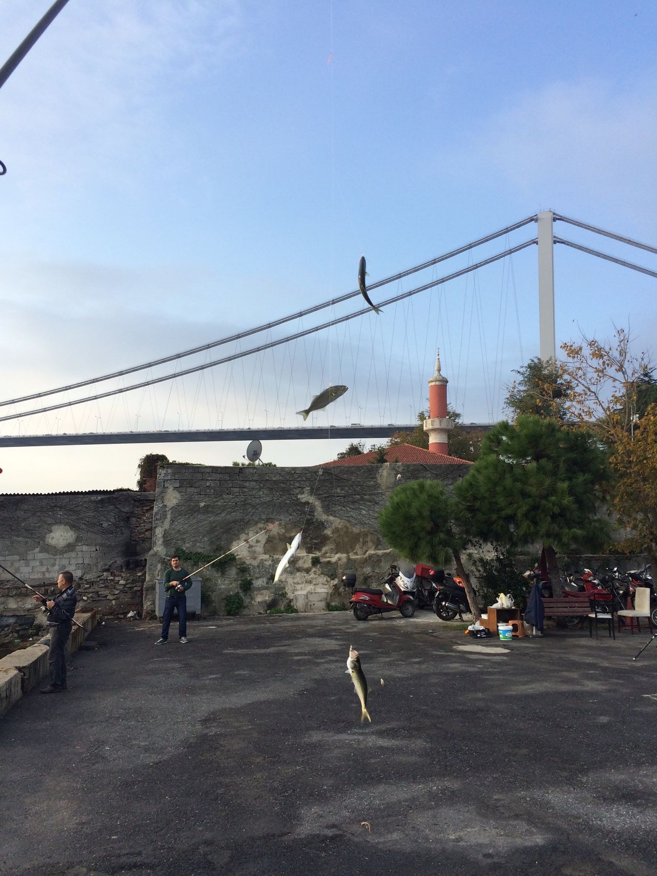 Istanbul trafik vakfı ortaköy