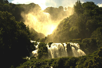Panoramic view of waterfall in forest