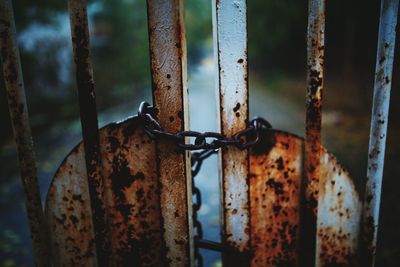 Close-up of rusty gate closed with chain