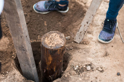 Low section of man standing on mud