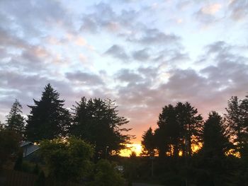 Low angle view of silhouette trees against sky during sunset