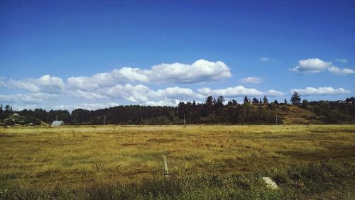 Scenic view of grassy field against cloudy sky