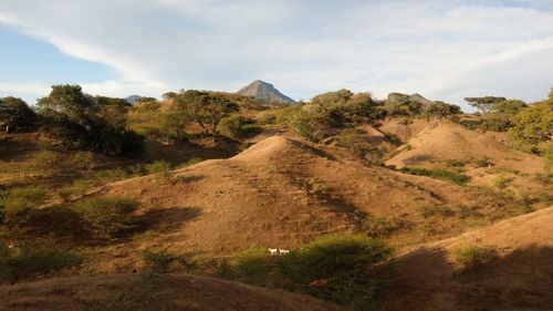 Scenic view of landscape against sky