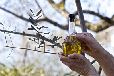 Low angle view of hand holding glass bottle against trees