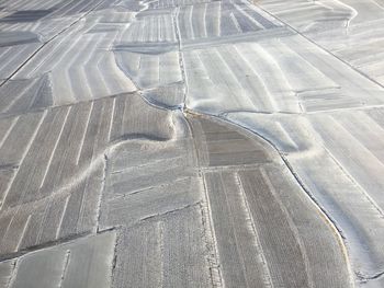 High angle view of agricultural field