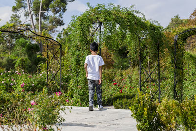 Young boy on his back walking calmly in the park