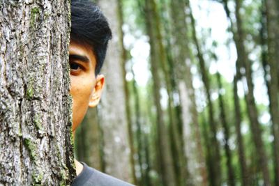 Portrait of young man hiding behind tree trunk in forest