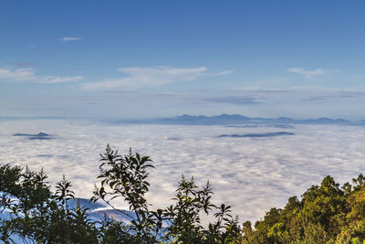 Mountain and mist views at doi inthanon national park, chiang mai, thailand