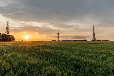 Scenic view of field against sky during sunrise 