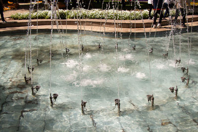 High angle view of group of people swimming in pool