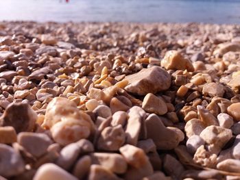 Close-up of pebbles at beach