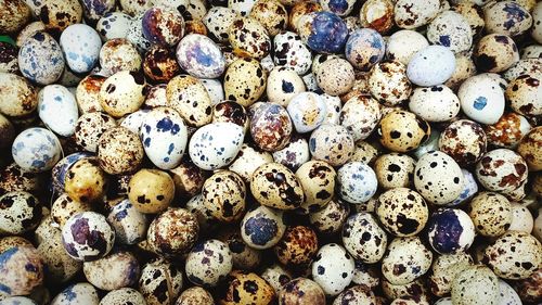 Abstract texture patterns from rows of quail eggs