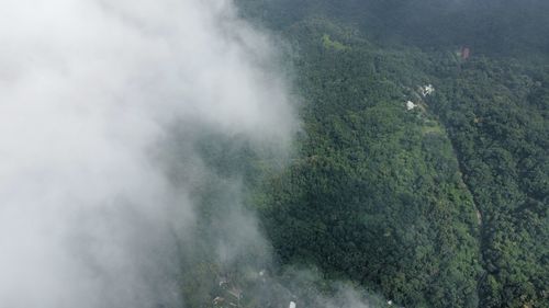 High angle view of trees on landscape