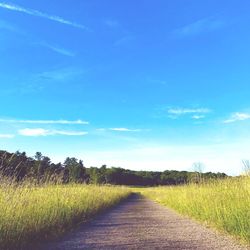 Dirt road amidst field against blue sky