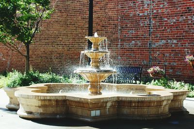 Potted plants in pot