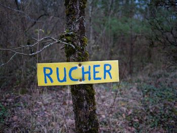 Close-up of information sign on tree trunk in forest