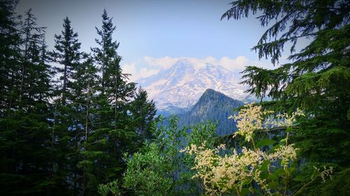 Scenic view of mountains